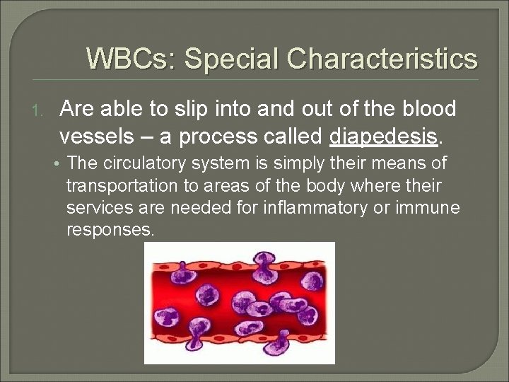 WBCs: Special Characteristics 1. Are able to slip into and out of the blood
