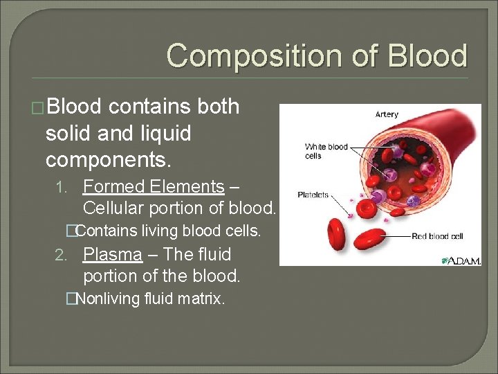 Composition of Blood �Blood contains both solid and liquid components. 1. Formed Elements –