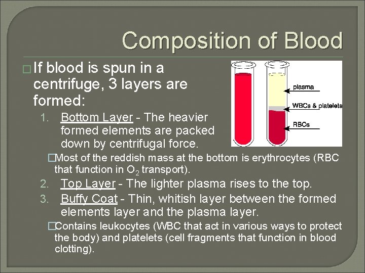 Composition of Blood � If blood is spun in a centrifuge, 3 layers are