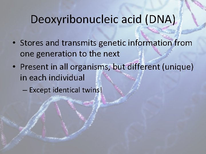Deoxyribonucleic acid (DNA) • Stores and transmits genetic information from one generation to the