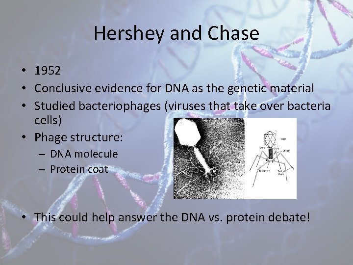 Hershey and Chase • 1952 • Conclusive evidence for DNA as the genetic material