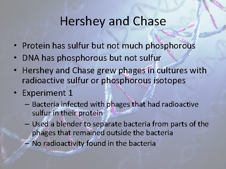 Hershey and Chase • Protein has sulfur but not much phosphorous • DNA has