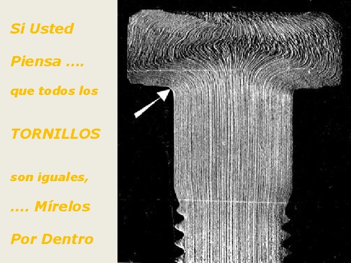 Si Usted Piensa …. que todos los TORNILLOS son iguales, …. Mírelos Por Dentro Si Usted Piensa …. que todos los TORNILLOS son iguales, …. Mírelos Por Dentro