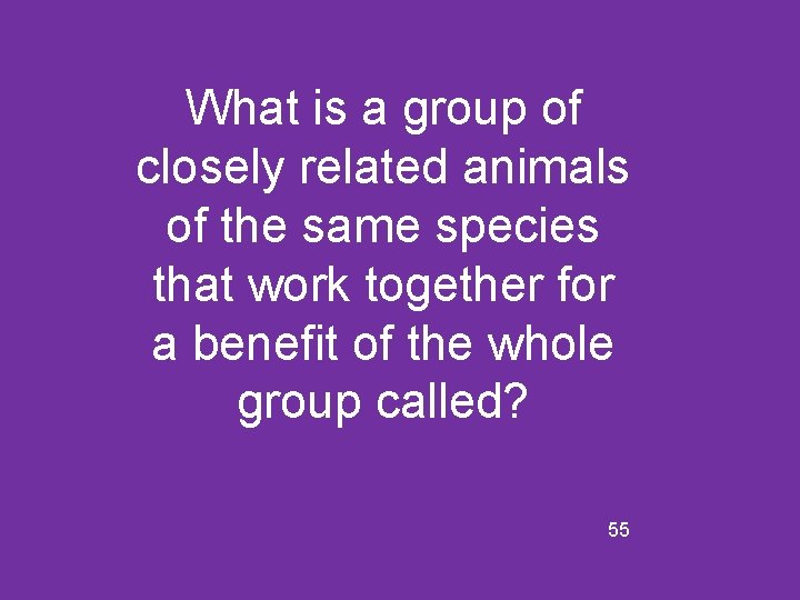 What is a group of closely related animals of the same species that work