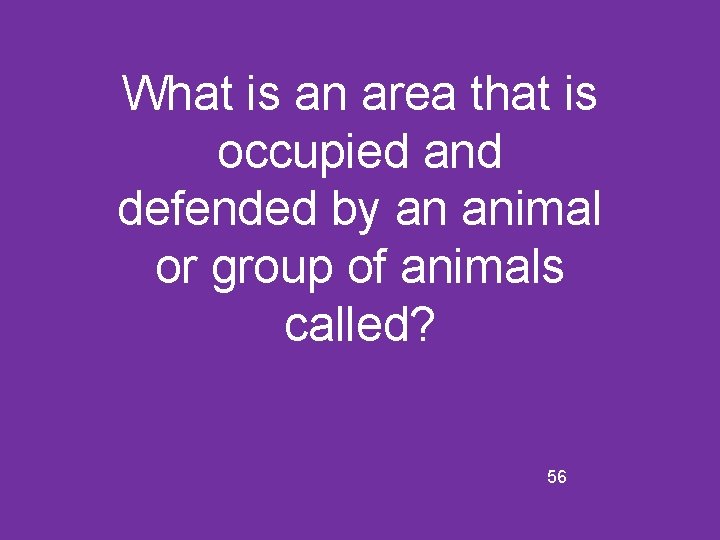 What is an area that is occupied and defended by an animal or group