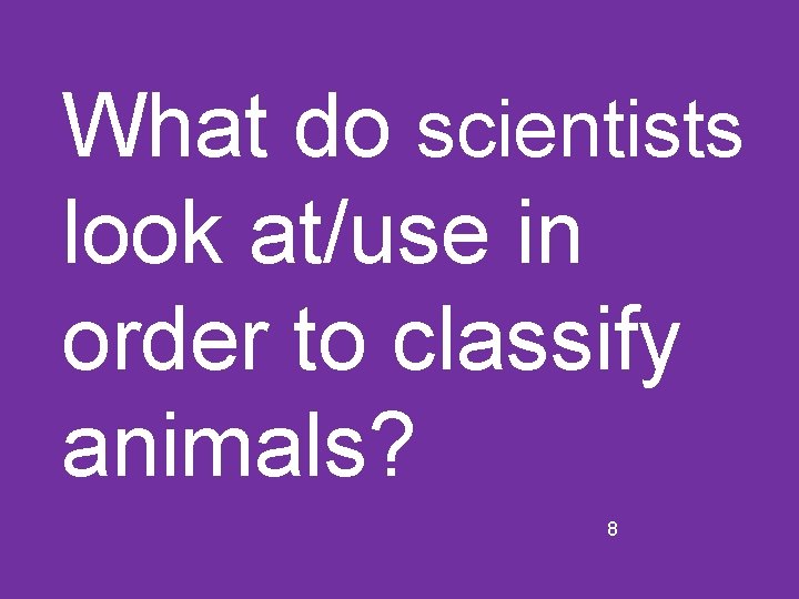 What do scientists look at/use in order to classify animals? 8 
