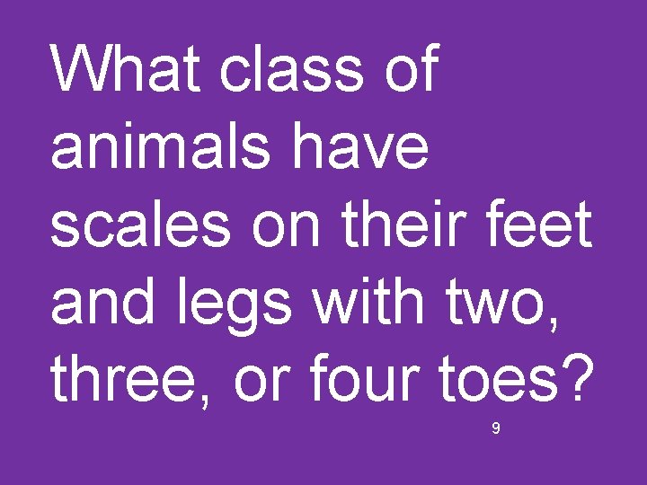 What class of animals have scales on their feet and legs with two, three,