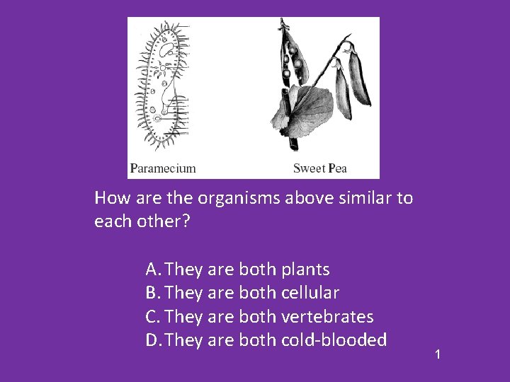 How are the organisms above similar to each other? A. They are both plants