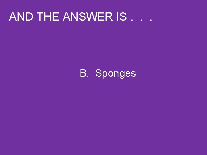 AND THE ANSWER IS. . . B. Sponges 