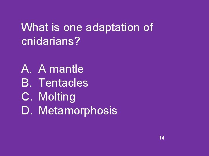 What is one adaptation of cnidarians? A. B. C. D. A mantle Tentacles Molting