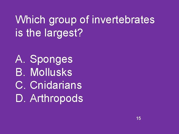 Which group of invertebrates is the largest? A. B. C. D. Sponges Mollusks Cnidarians