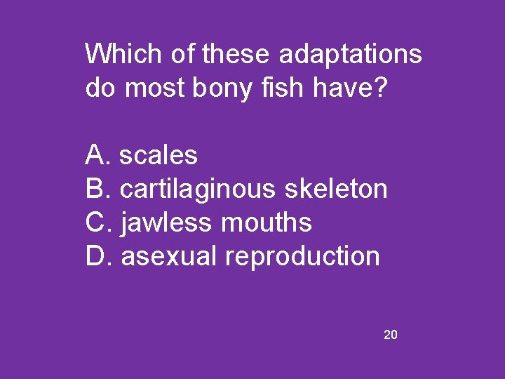 Which of these adaptations do most bony fish have? A. scales B. cartilaginous skeleton