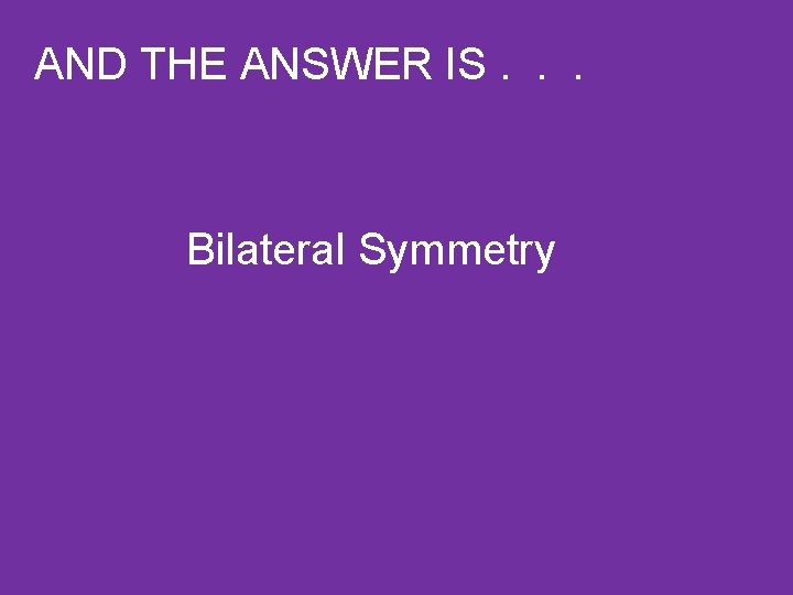 AND THE ANSWER IS. . . Bilateral Symmetry 