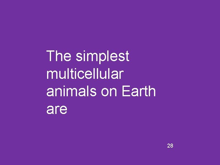 The simplest multicellular animals on Earth are 28 