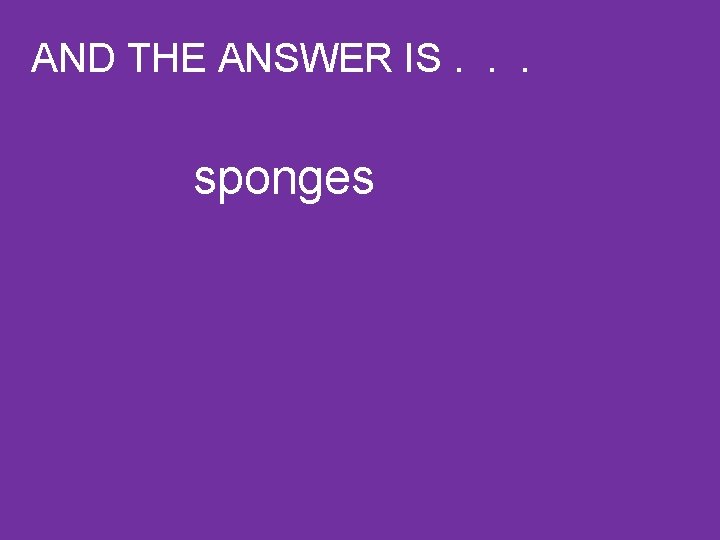 AND THE ANSWER IS. . . sponges 