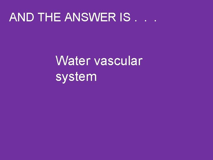 AND THE ANSWER IS. . . Water vascular system 