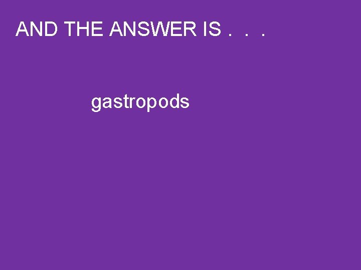 AND THE ANSWER IS. . . gastropods 