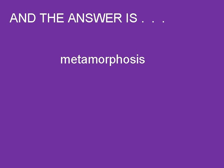 AND THE ANSWER IS. . . metamorphosis 