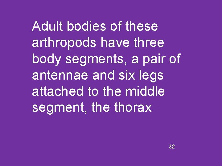 Adult bodies of these arthropods have three body segments, a pair of antennae and