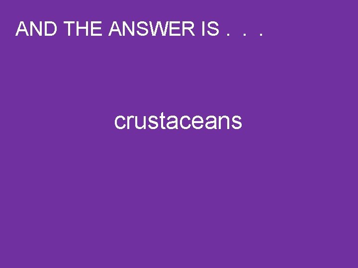 AND THE ANSWER IS. . . crustaceans 