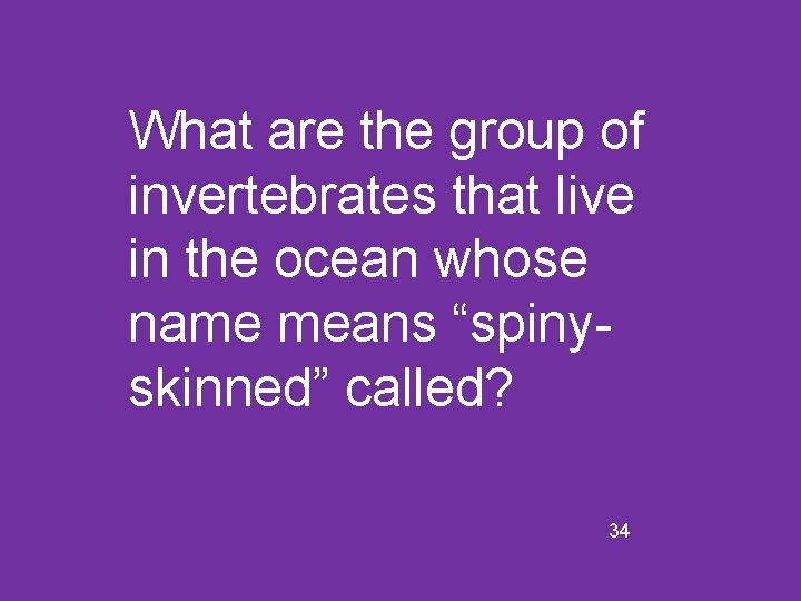What are the group of invertebrates that live in the ocean whose name means