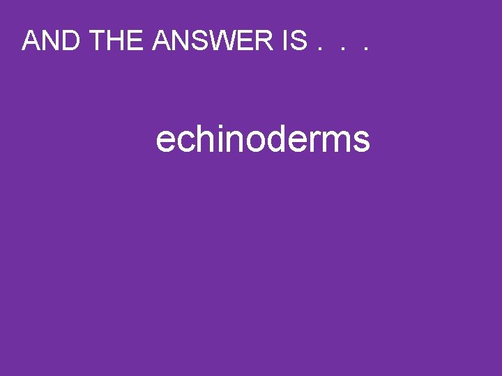 AND THE ANSWER IS. . . echinoderms 