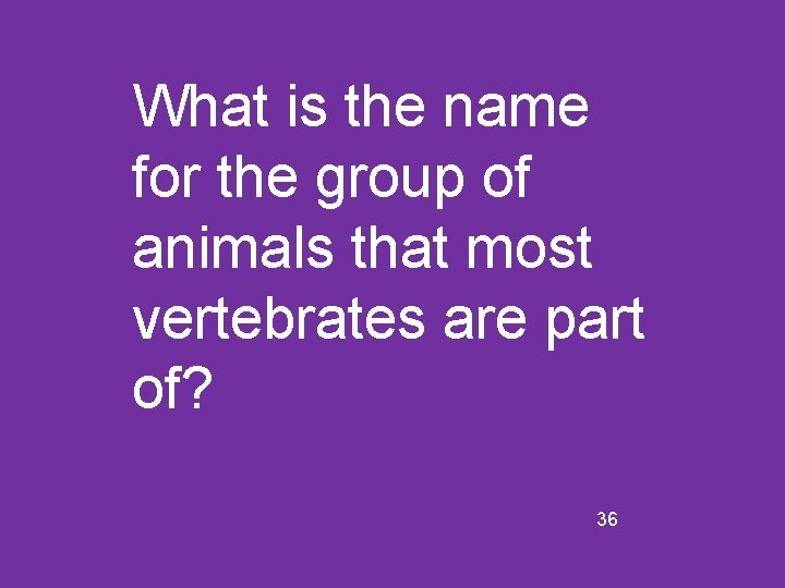 What is the name for the group of animals that most vertebrates are part