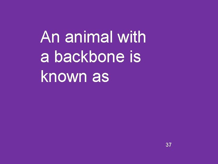 An animal with a backbone is known as 37 