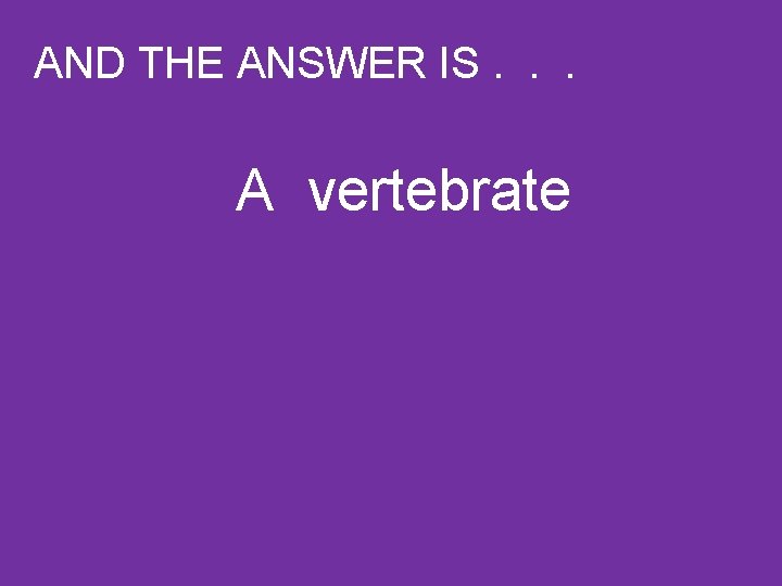 AND THE ANSWER IS. . . A vertebrate 