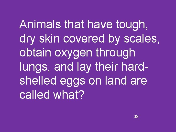 Animals that have tough, dry skin covered by scales, obtain oxygen through lungs, and