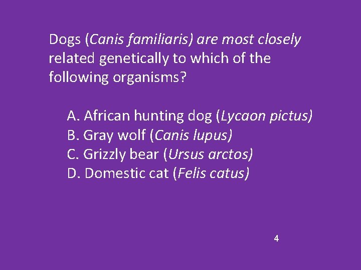 Dogs (Canis familiaris) are most closely related genetically to which of the following organisms?