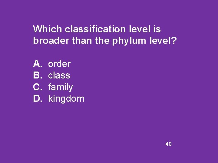 Which classification level is broader than the phylum level? A. B. C. D. order