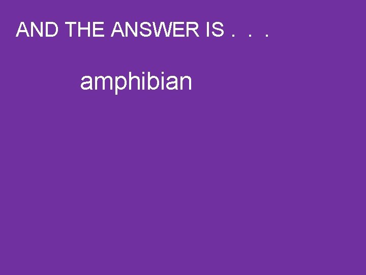 AND THE ANSWER IS. . . amphibian 