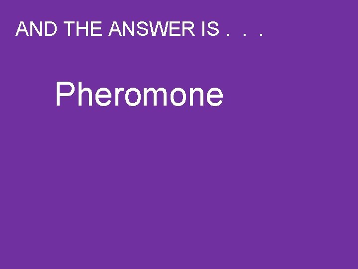 AND THE ANSWER IS. . . Pheromone 
