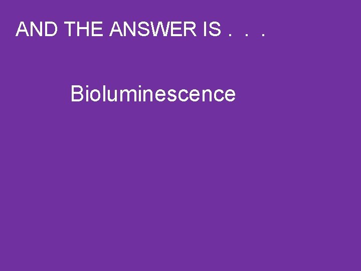 AND THE ANSWER IS. . . Bioluminescence 