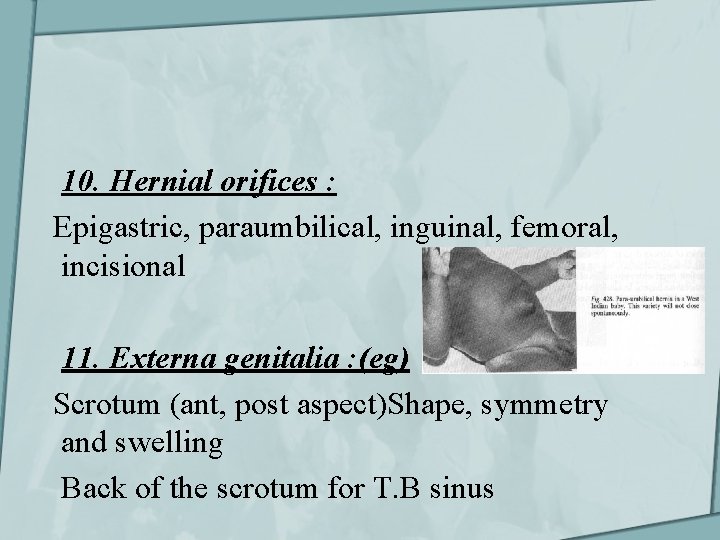 10. Hernial orifices : Epigastric, paraumbilical, inguinal, femoral, incisional 11. Externa genitalia : (eg)