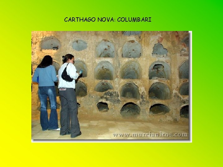 CARTHAGO NOVA: COLUMBARI 