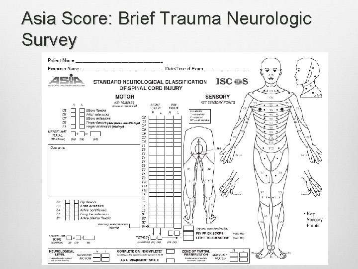 Asia Score: Brief Trauma Neurologic Survey 