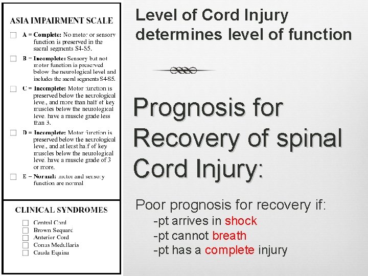 Level of Cord Injury determines level of function Prognosis for Recovery of spinal Cord