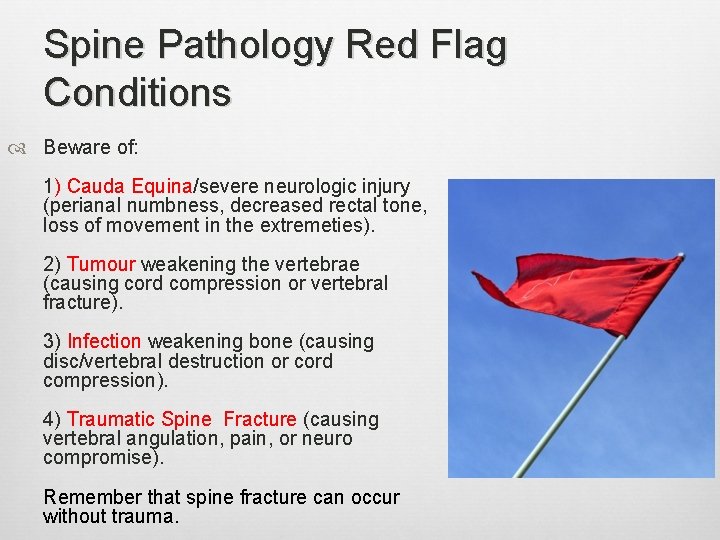 Spine Pathology Red Flag Conditions Beware of: 1) Cauda Equina/severe neurologic injury (perianal numbness,