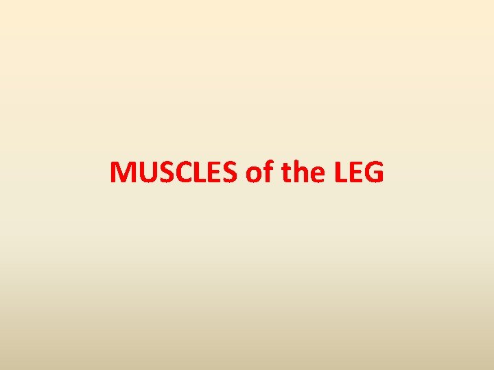 MUSCLES of the LEG 