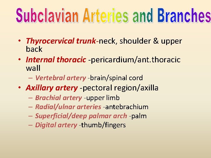  • Thyrocervical trunk-neck, shoulder & upper back • Internal thoracic -pericardium/ant. thoracic wall