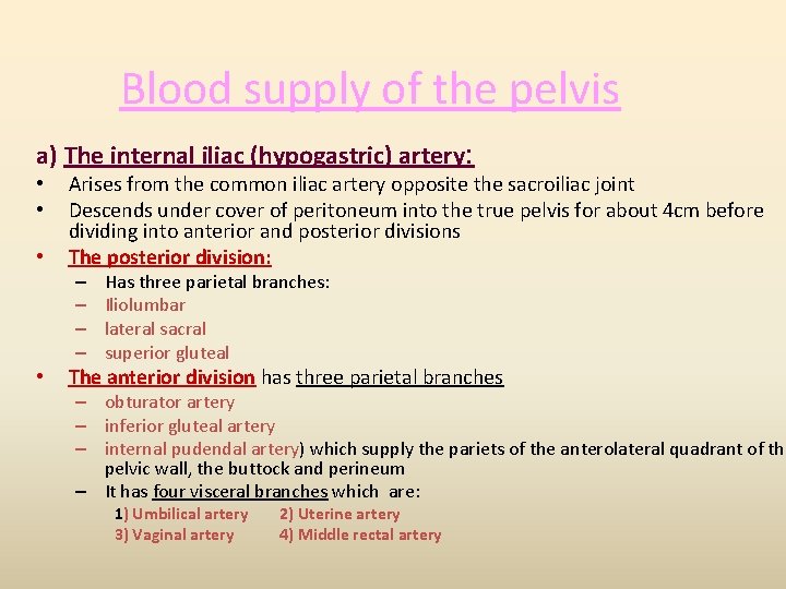 Blood supply of the pelvis a) The internal iliac (hypogastric) artery: • • •