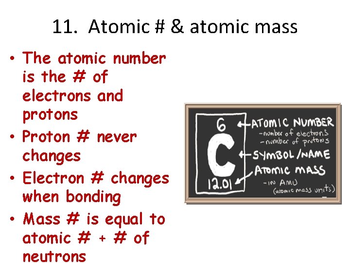 11. Atomic # & atomic mass • The atomic number is the # of