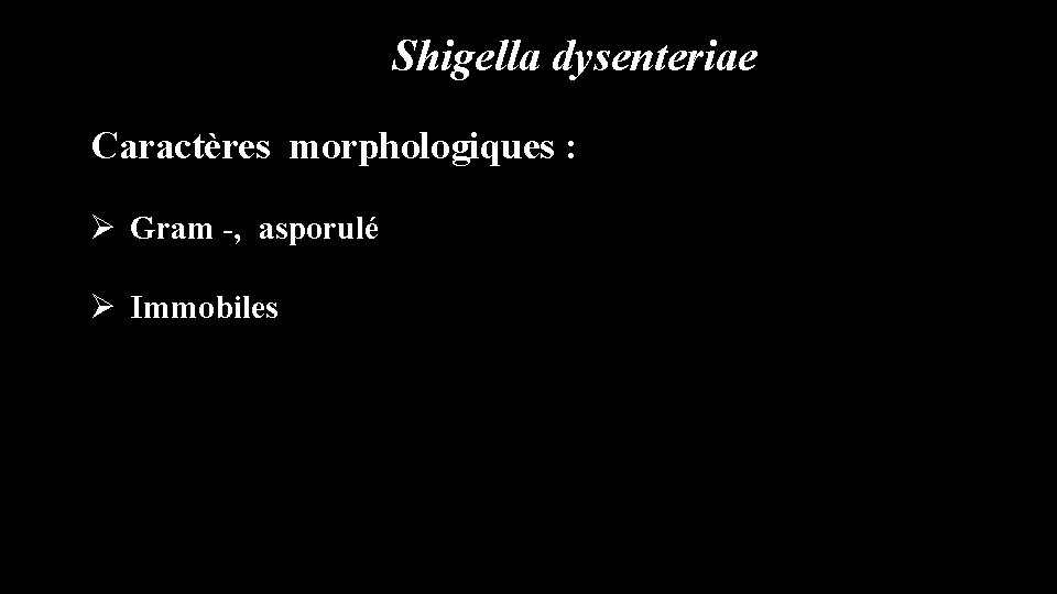 Shigella dysenteriae Caractères morphologiques : Ø Gram -, asporulé Ø Immobiles 