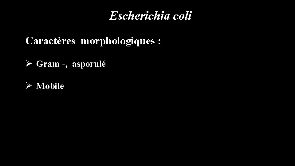 Escherichia coli Caractères morphologiques : Ø Gram -, asporulé Ø Mobile 