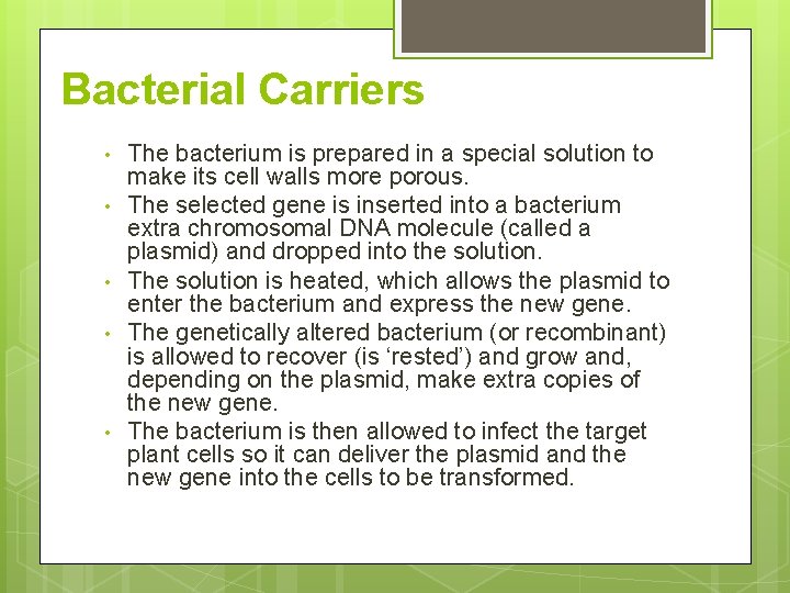 Bacterial Carriers • • • The bacterium is prepared in a special solution to