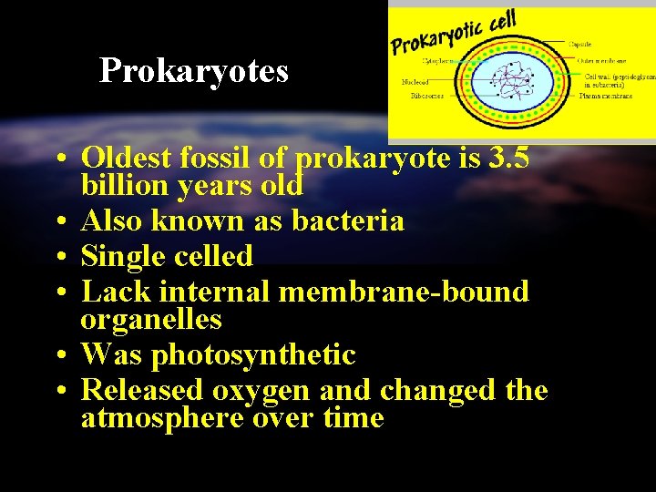 Prokaryotes • Oldest fossil of prokaryote is 3. 5 billion years old • Also