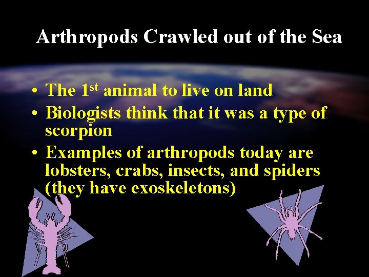 Arthropods Crawled out of the Sea • The 1 st animal to live on