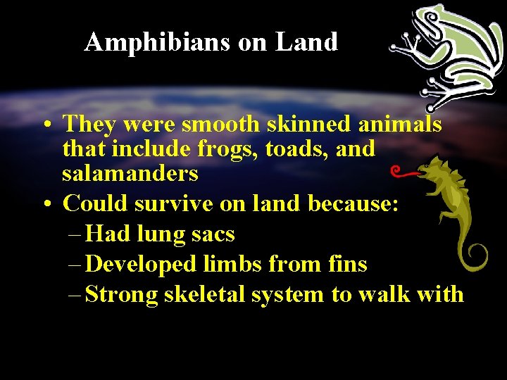 Amphibians on Land • They were smooth skinned animals that include frogs, toads, and